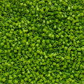 1000 Perler Beads - Fern
