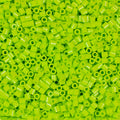 1000 Perler Beads - Prickly Pear